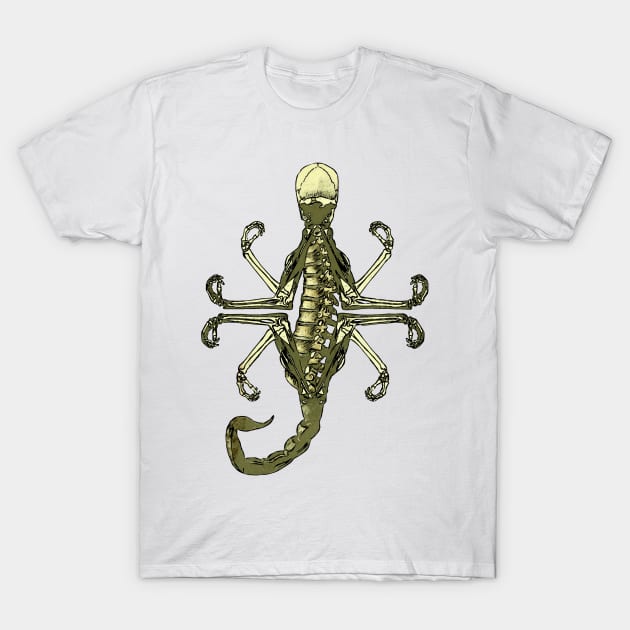 Zen (Scorpion) T-Shirt by DevanGill